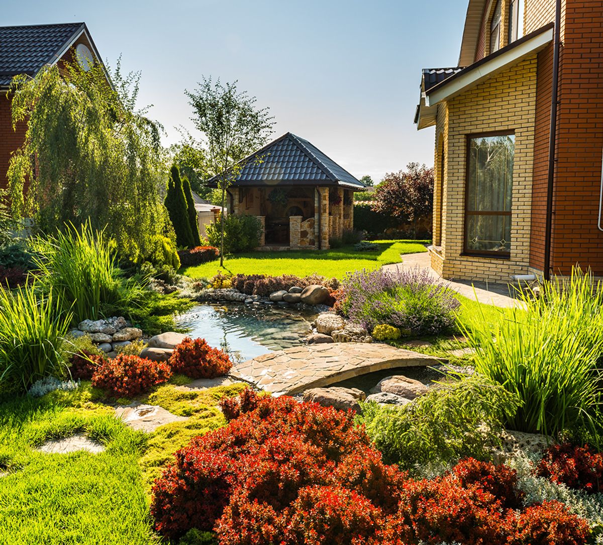 Colourfully landscaped backyard