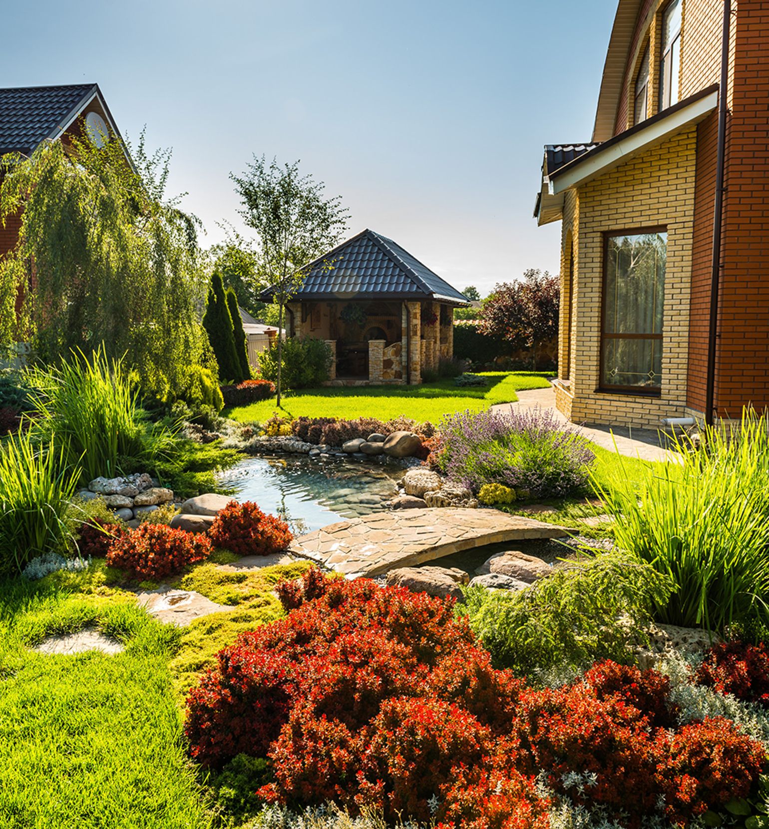 Colourfully landscaped backyard