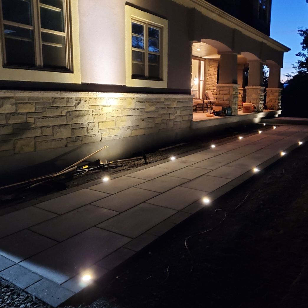 Landscaping with fresh plants in the soil